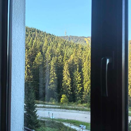 Тайната Квартира - The Secret Apartment Pamporovo Extérieur photo